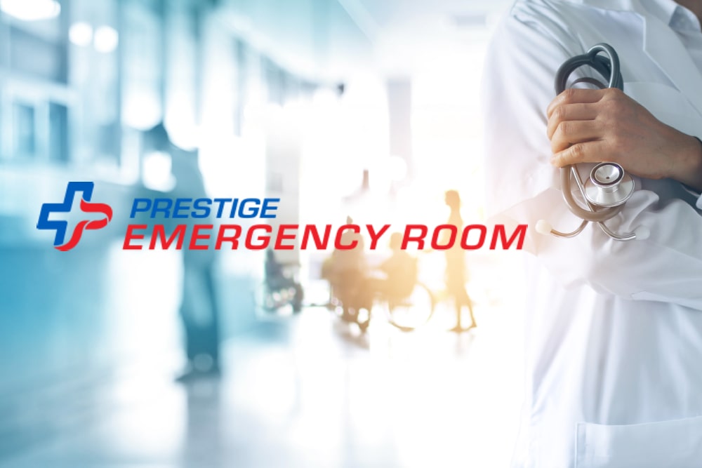 Prestige Emergency Room Image