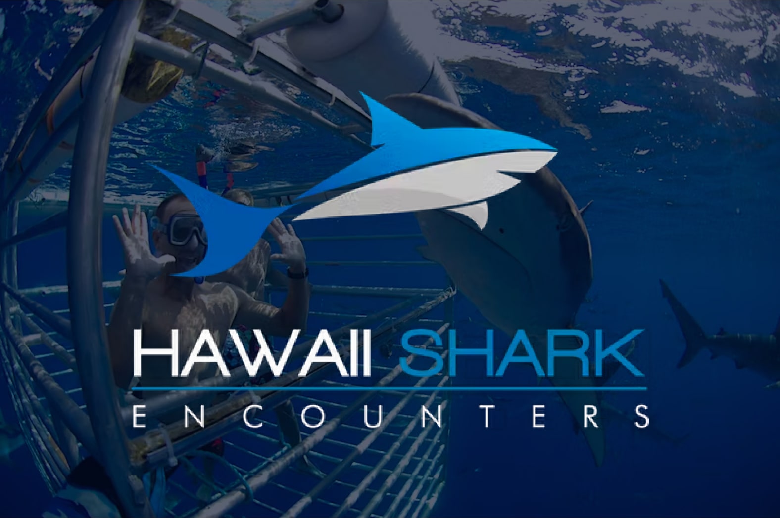 Hawaii Shark Encounters-min