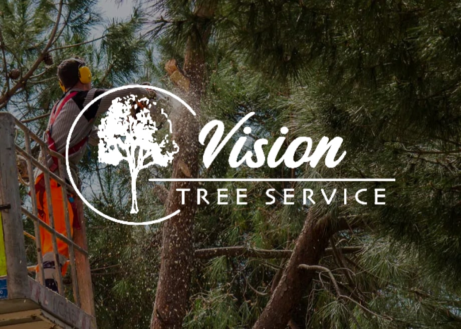 Vision Tree Service-min